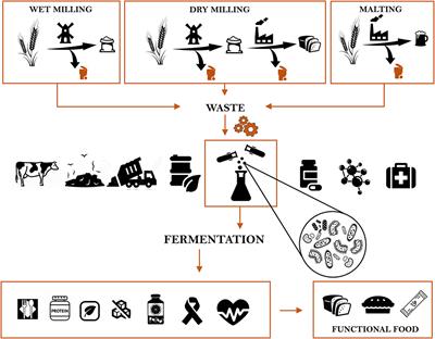 Fermentation Biotechnology Applied to Cereal Industry By-Products: Nutritional and Functional Insights